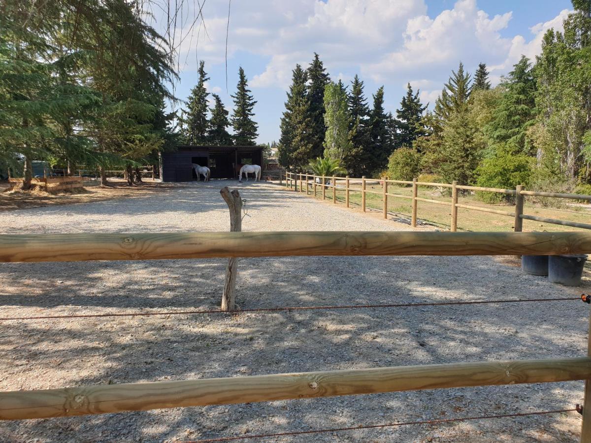 D'hotes Dans Propriete Rurale * Beziers