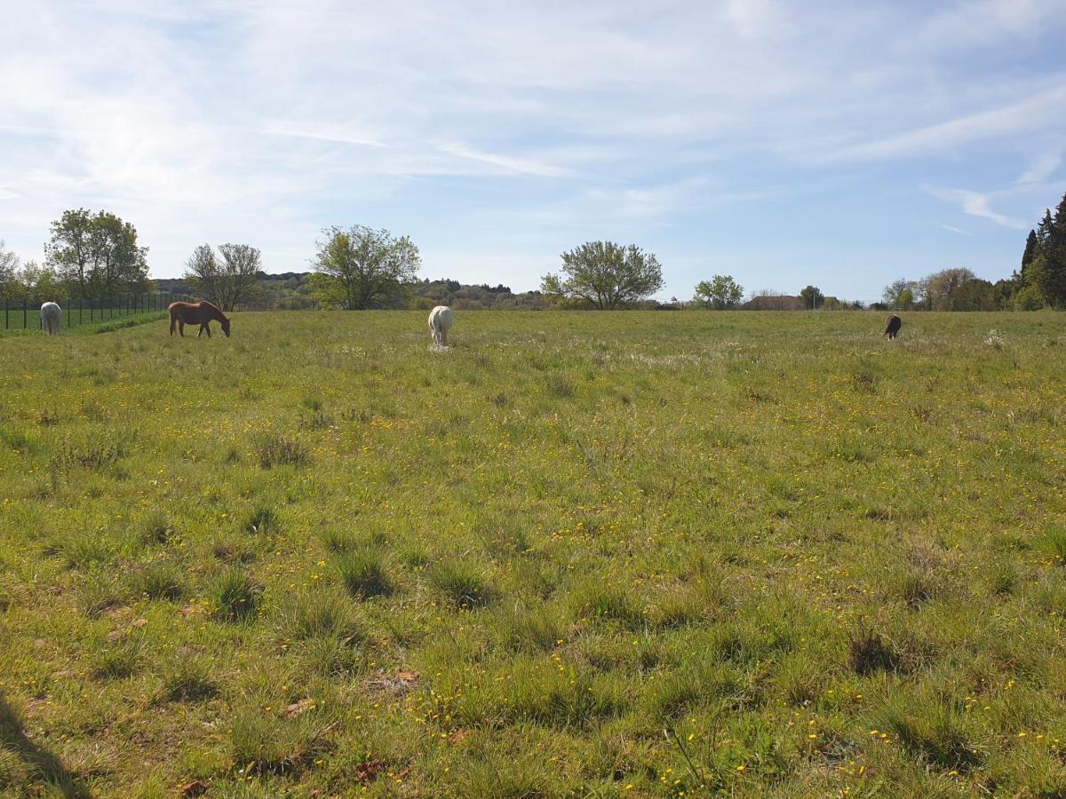 D'hotes Dans Propriete Rurale
