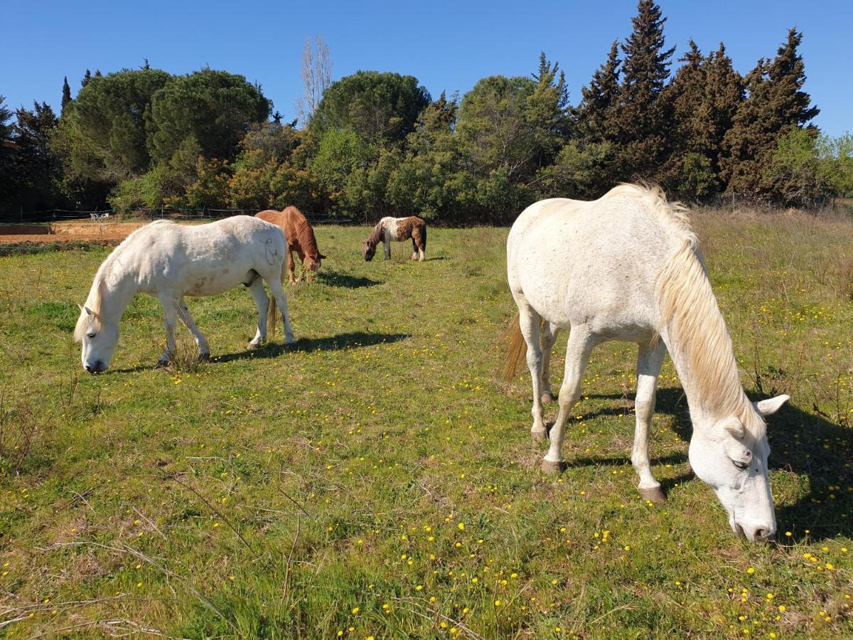 D'hotes Dans Propriete Rurale Bed & Breakfast *